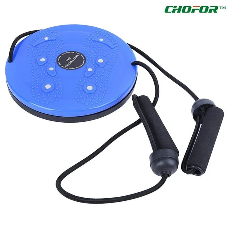 Waist Twiser Disc